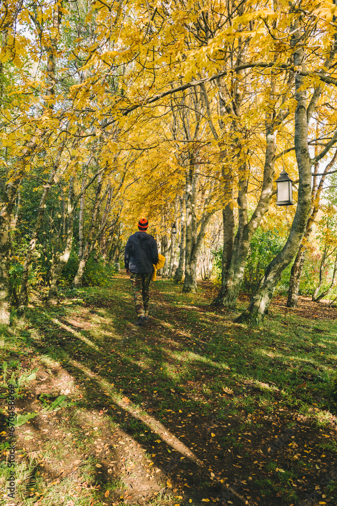 Man walking in the forest in Autumn