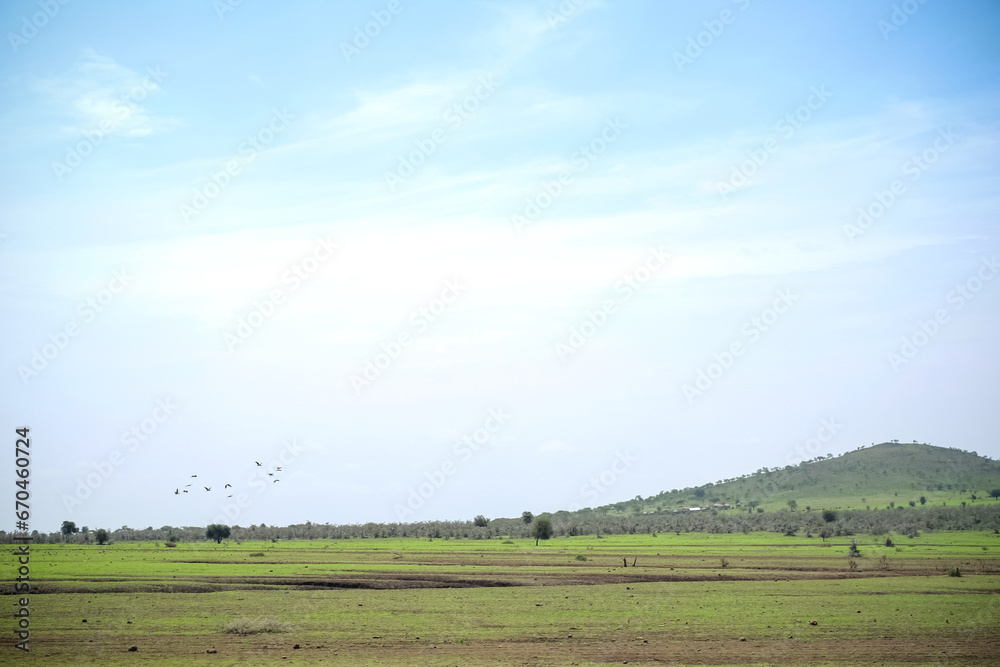 open grass fields in Tanzania, Africa 