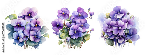 Purple blue flowers watercolor blossoming isolated