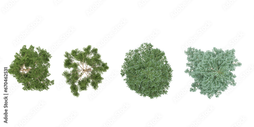 Bare Christmas tree,pine trees from top view collection of isolated on transparent background Bare Christmas tree,pine trees from top view collection of isolated on transparent background