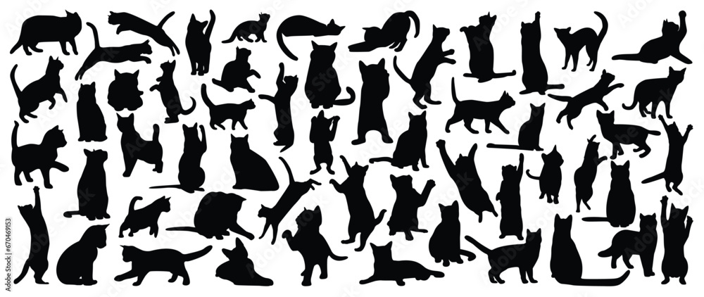 Set of cats silhouette vector. Cats and kitten different breed, poses, sitting, standing, jump, sleep, playing, walking. Hand drawn pet animals for pet shop, logo design, decorative, sticker.