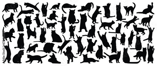 Set of cats silhouette vector. Cats and kitten different breed, poses, sitting, standing, jump, sleep, playing, walking. Hand drawn pet animals for pet shop, logo design, decorative, sticker.
