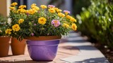A radiant marigold contrasting with a pastel lavender pot.