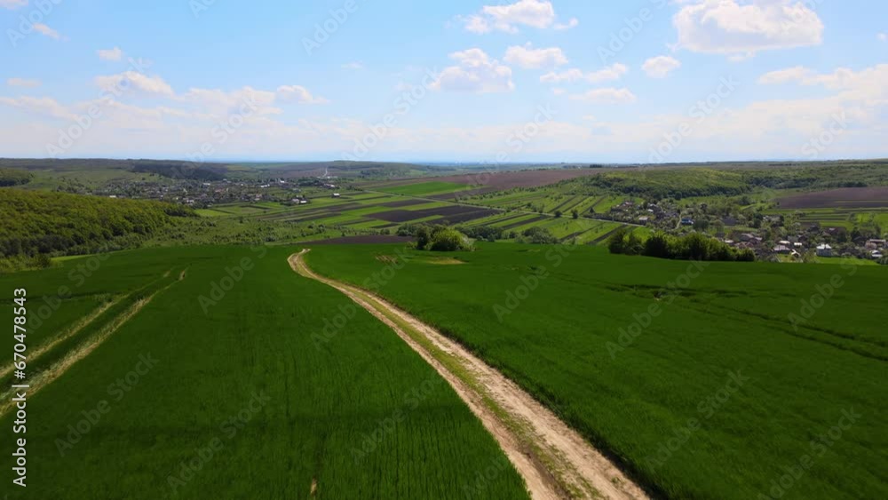 Green agricultural field with growing crops in summer season. Farming and agriculture industry Green agricultural field with growing crops in summer season. Farming and agriculture industry