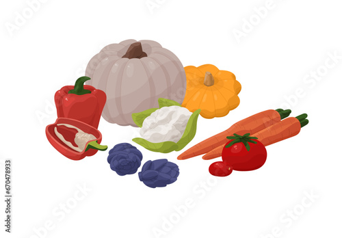 Proper nutrition, healthy food. Organic farm vegetables- cauliflower, bell pepper, tomato, carrot, pumpkin. Vegetarian diet, wholesome eating. Flat isolated vector illustration on white background