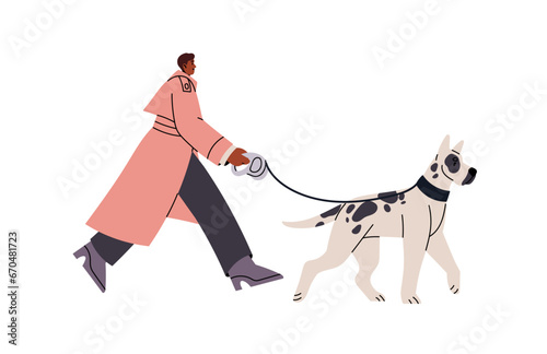 Owner strolls big German dog on leash on street. Woman in coat walk puppy of great dane breed. Pet friendly person, animal sitter go outdoors. Flat isolated vector illustration on white background