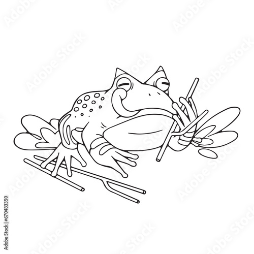 Ceratophrys froggy sitting with branches. Horned frog, wild spotty toad show tongue. Exotic animal, amphibian, fauna of swamp. Tropical nature. Lineart isolated vector illustration on white background