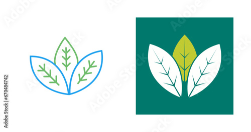 Spearmint Vector Icon