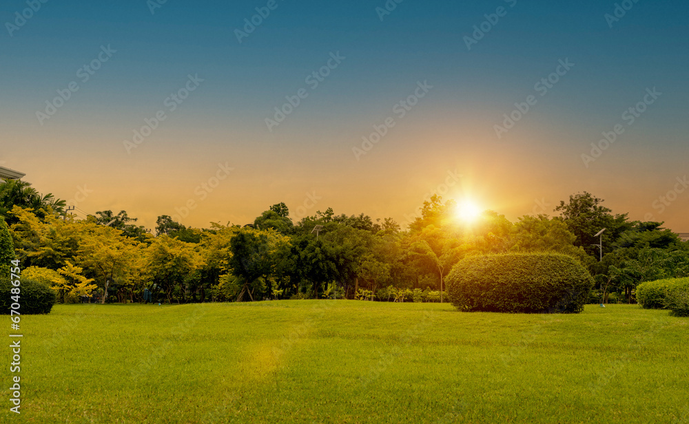 beautiful grass field and tree with sunset or sunrise sky. Countryside landscape view background.