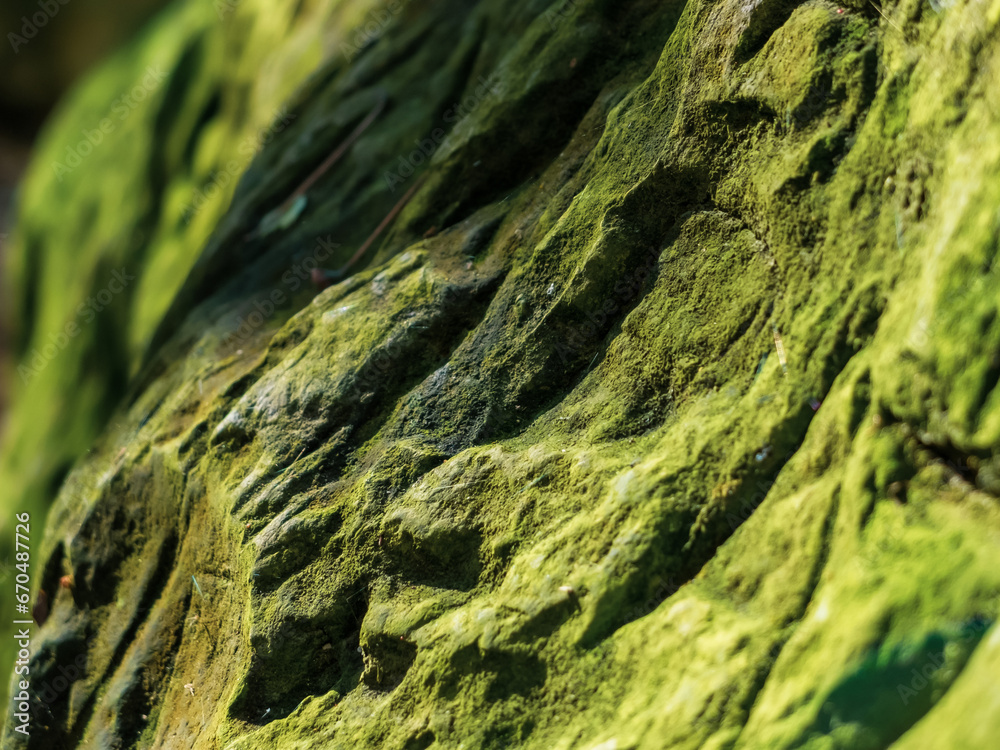 creative idea for background. ancient stone overgrown with green moss creative idea for background. ancient stone overgrown with green moss