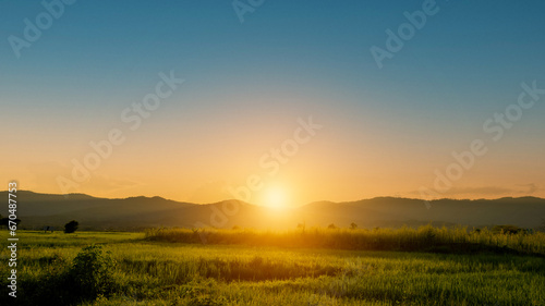Green rice field with sunset sky background. Countryside landscape.