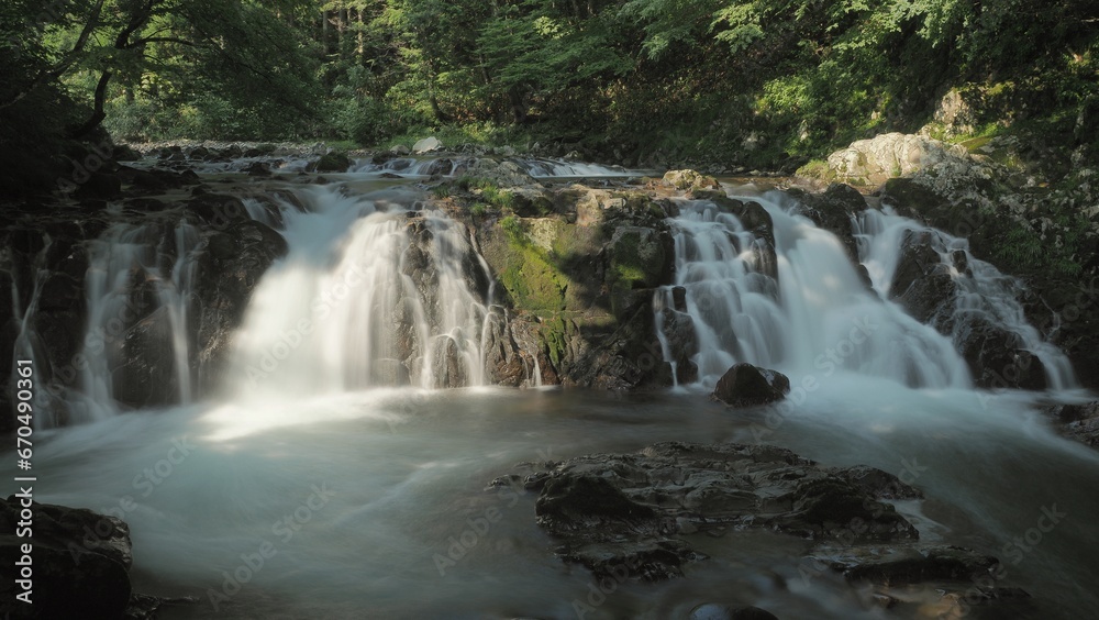 Fototapeta premium 滝