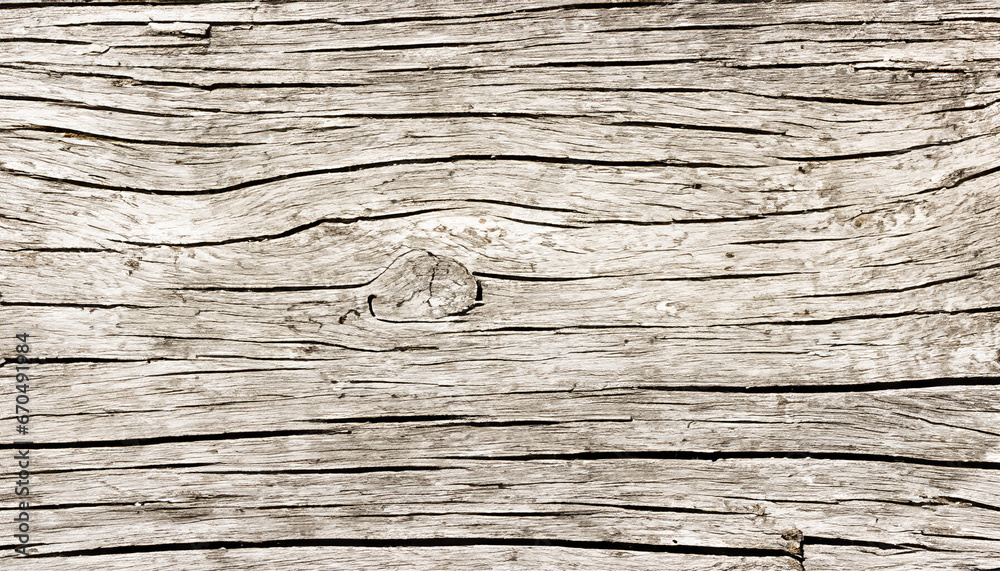 Old wood texture. Old wooden board. An old elm wood board on the white background