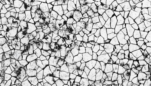 Abstract cracked ground, black and white background with texture.