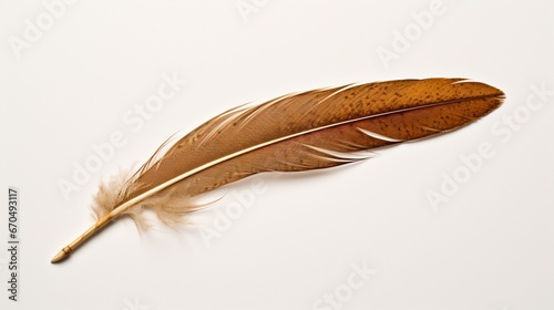 A sparrow's brown and speckled feather, offering a rustic charm, positioned on a white surface.