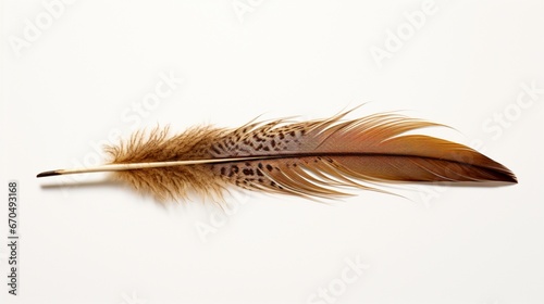 A sparrow s brown and speckled feather  offering a rustic charm  positioned on a white surface.
