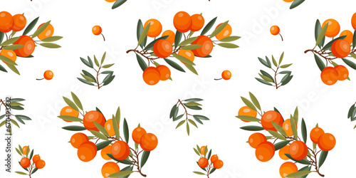 Vector Seamless background, sea buckthorn berries and berries natural design