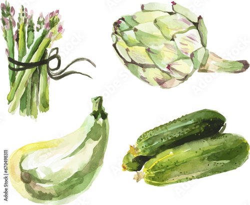 Vector Watercolor painted collection of vegetables. Hand drawn fresh food design elements isolated on white background.