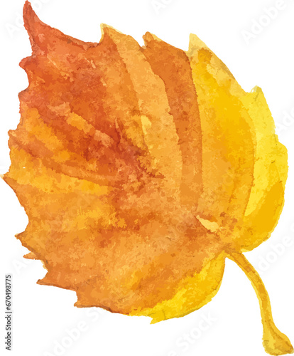 Abstract vector watercolor illustration of autumn leaves. Hand drawn nature design elements isolated on white background.