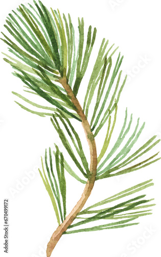 Abstract vector watercolor illustration of pine needles. Hand drawn nature design elements isolated on white background.