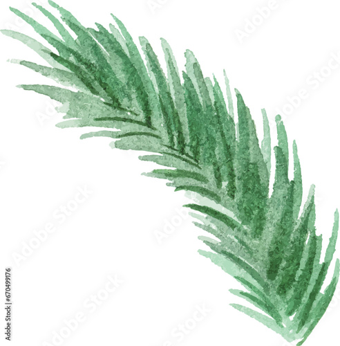 Abstract vector watercolor illustration of spruce needles. Hand drawn nature design elements isolated on white background.