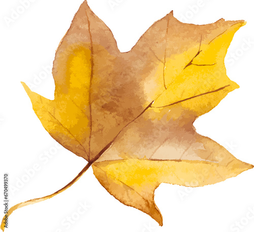 Abstract vector watercolor illustration of autumn leaves. Hand drawn nature design elements isolated on white background.