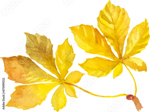 Abstract vector watercolor illustration of autumn leaves. Hand drawn nature design elements isolated on white background.