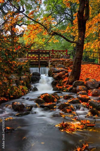 Autumn alley with yellow leaves in the public park in Gdansk Oliwa, Poland