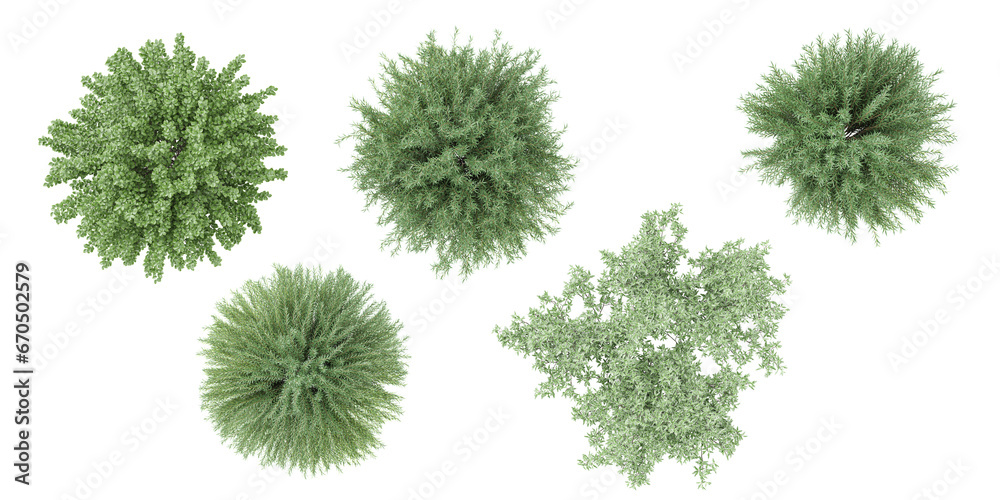 set of Mugworts,Salix purpurea,Myrtle trees rendered from the top view, 3D illustration, for digital composition, illustration, 2D plans, architecture visualization - obrazy, fototapety, plakaty 