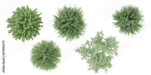 set of Mugworts,Salix purpurea,Myrtle trees rendered from the top view, 3D illustration, for digital composition, illustration, 2D plans, architecture visualization