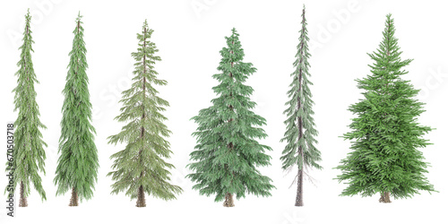 Fir,Pine,Spruce Trees isolated on white background, tropical trees isolated used for architectureFir,Pine,Spruce Trees isolated on white background, tropical trees isolated used for architecture © Saifstock