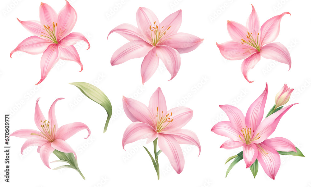 Set of pink lilies isolated on a white background. Watercolor illustration isolated on white background Generative AI