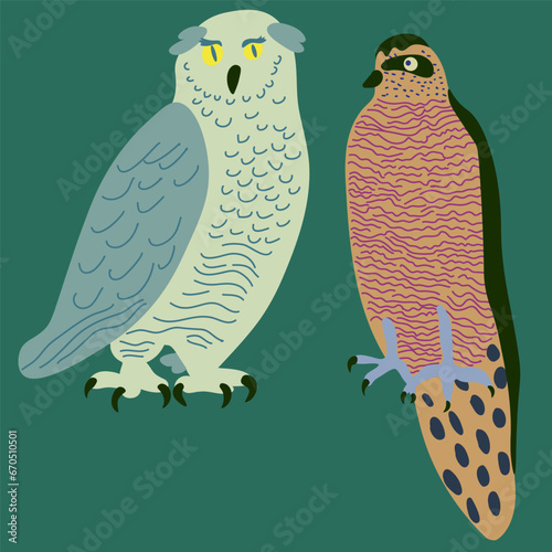 gray owl and falcon in vector. wild animal in flat style. Template for poster logo icon for app website. Series of animal images in flat style