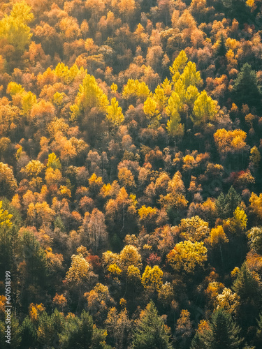 Autumn forest in Georgia