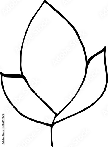 Single  plant, hand-drawn. Botanical illustration. Vector design 