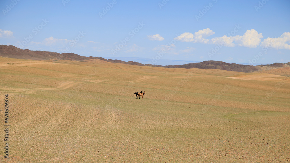 Obraz premium The Gobi-Altai landscape in Mongolia