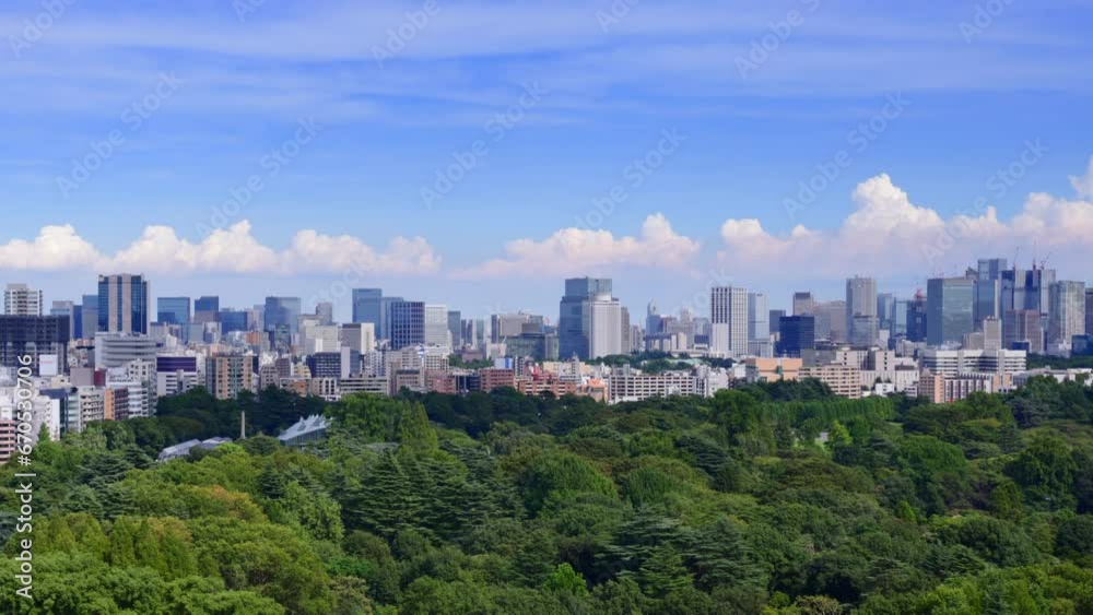 新緑が綺麗な東京の高層ビル群 新緑が綺麗な東京の高層ビル群
