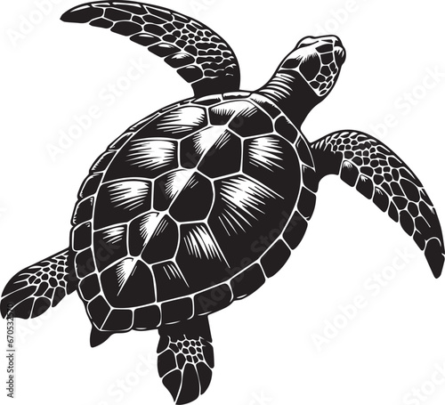 Turtle Marine Animal Vector, Sea Turtle Silhouette Clipart