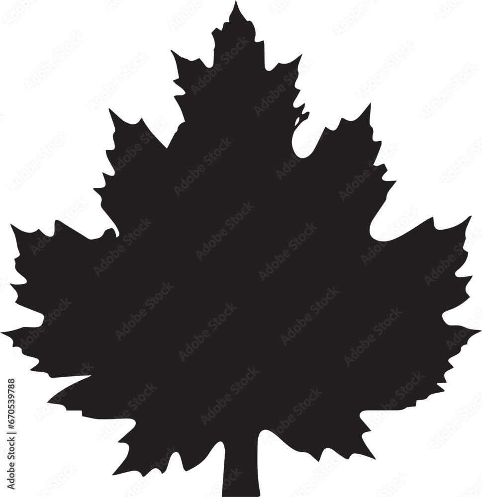 Obraz premium Maple leaf silhouette vector illustration