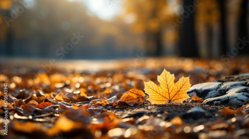 Fallen autumn leaves on the ground, award winning studio photography, professional color grading, soft shadows, no contrast, clean sharp focus, focus stacking, digital photography photo