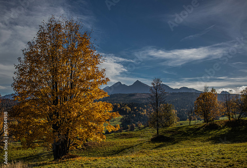 Jesień w Magurze Spiskiej w Osturni na Słowacji © slawjanek