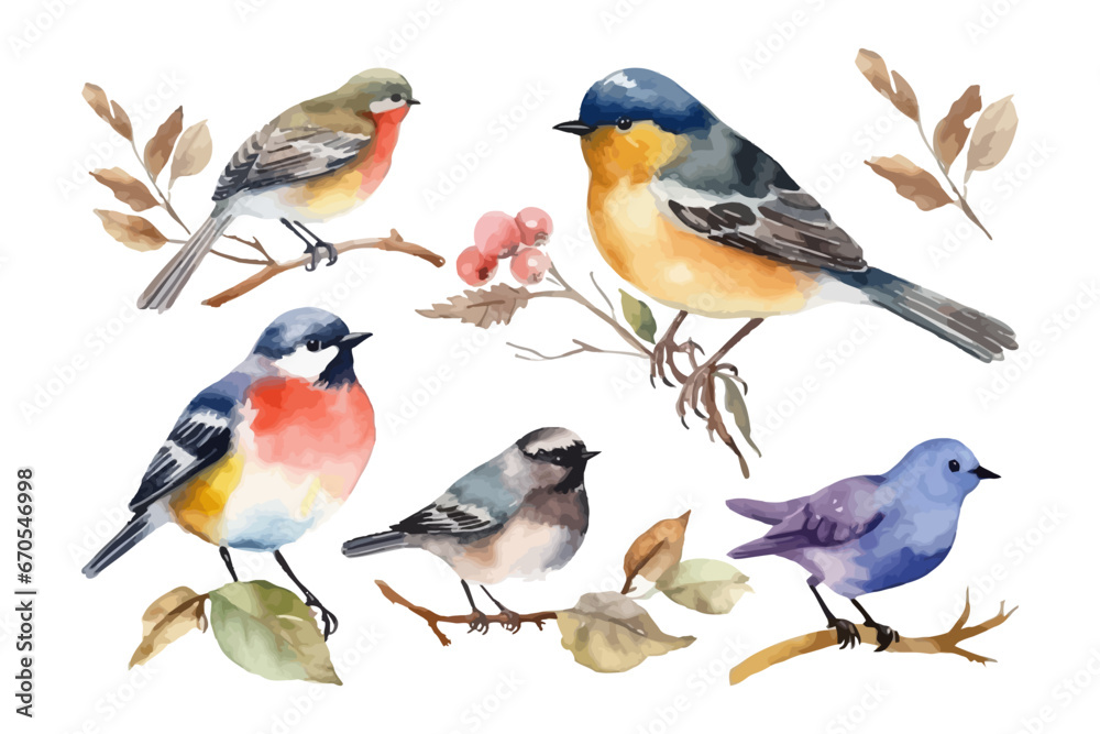 Obraz premium Watercolor bird collection. Fall season. Nature element.