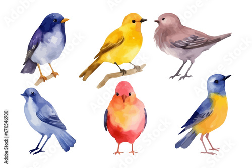 Watercolor bird collection. Fall season. Nature element.