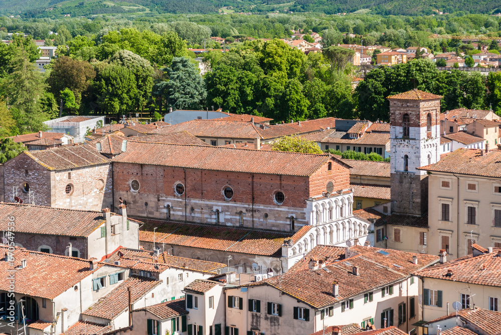 Aerial view of the church Santa Maria Forisportam in Lucca, Tuscany