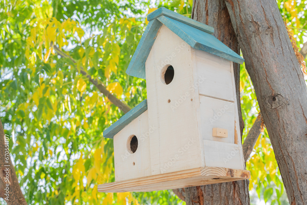 birdhouse on a tree on a sunny summer day birdhouse on a tree on a sunny summer day