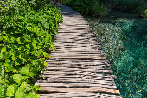 Wooden path and lake photo