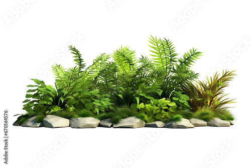 Garden design isolated on white background. Green plants for landscaping. Decorative shrub and flower bed