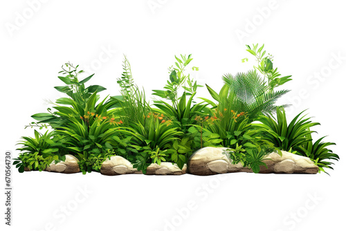 Garden design isolated on white background. Green plants for landscaping. Decorative shrub and flower bed