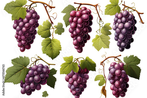 bunch of grapes isolated on a Transparent background. Generative AI