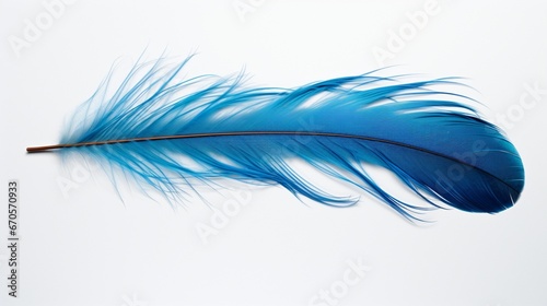 An intricate feather from a kingfisher, with its brilliant blue hues, showcased on a white backdrop.